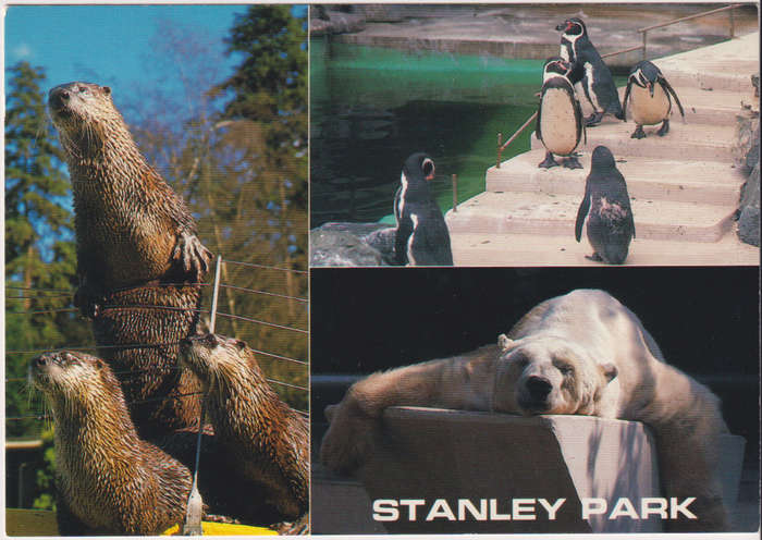 Post Cards / Maxi Card not used