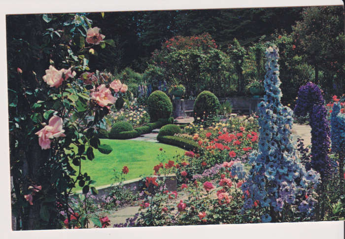 Post Cards / Maxi Card not used
