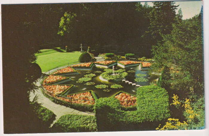 Post Cards / Maxi Card not used