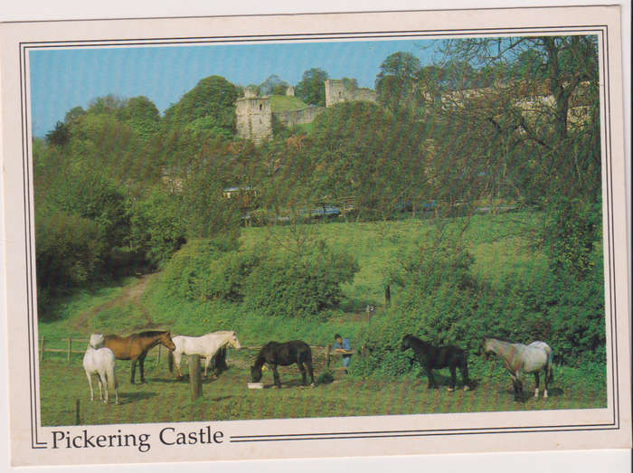 Post Cards / Maxi Card not used