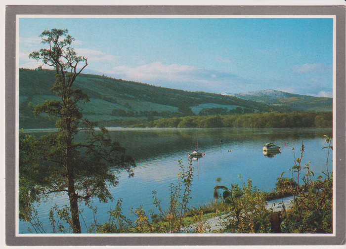 Post Cards / Maxi Card not used