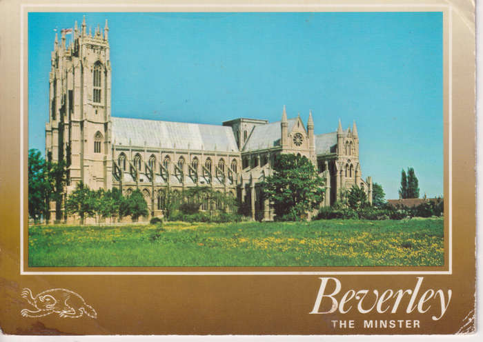 Post Card / Maxi Card Not used