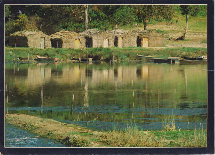 Post Card / Maxi Card Not used