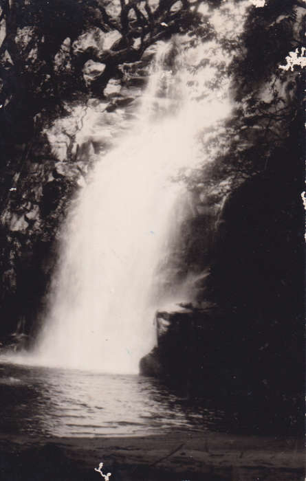 Post Cards / Maxi Card not used