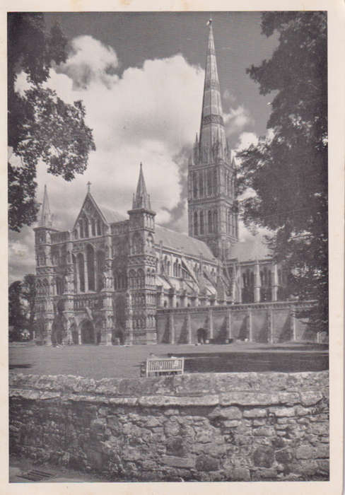 Post Cards / Maxi Card not used