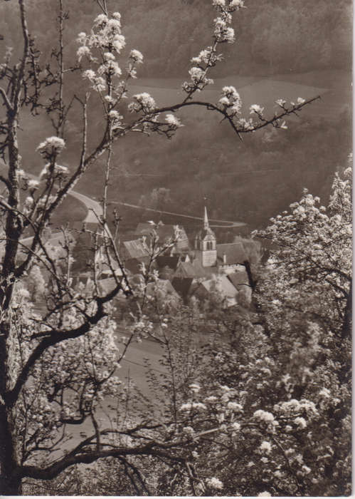 Post Cards / Maxi Card not used