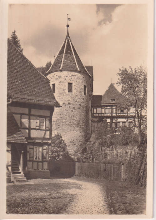 Post Cards / Maxi Card not used