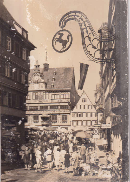 Post Cards / Maxi Card not used