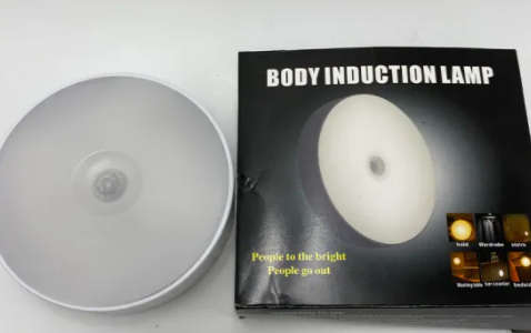 BODY INDUCTION LAMP