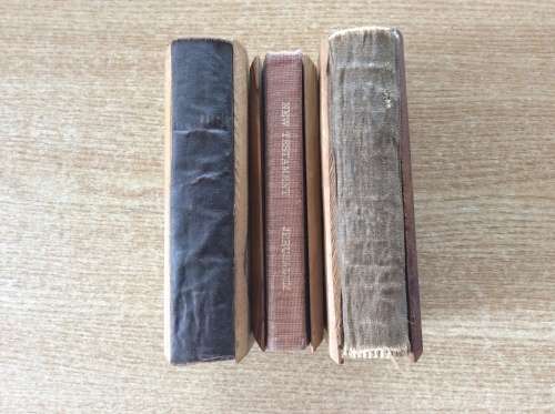 Lot of Three New Testamet Pocket Bibles .