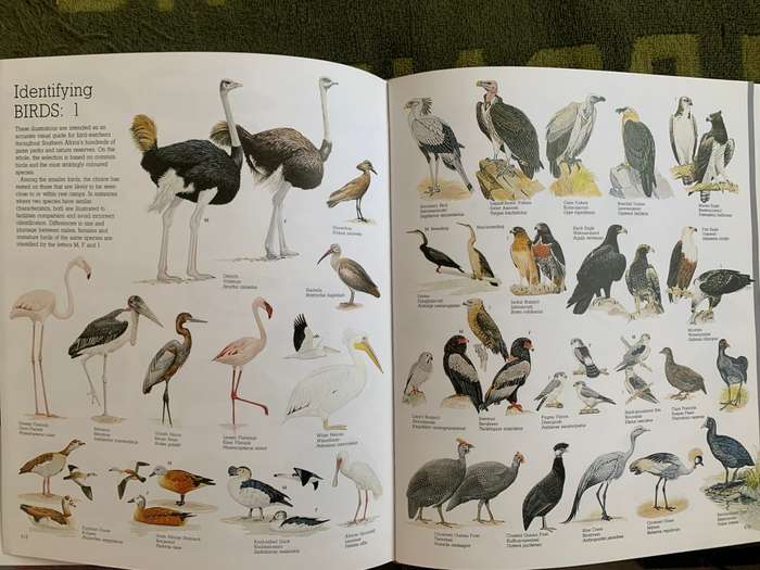 READERS DIGEST GAME PARKS AND NATURE RESERVES OF SOUTHERN AFRICA