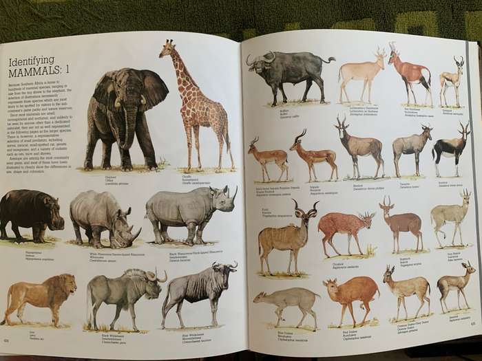 READERS DIGEST GAME PARKS AND NATURE RESERVES OF SOUTHERN AFRICA