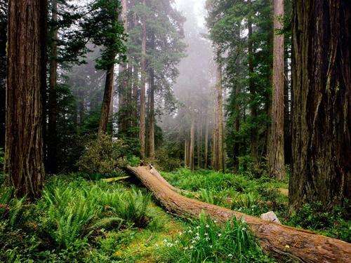 Sanctuary of relaxation
