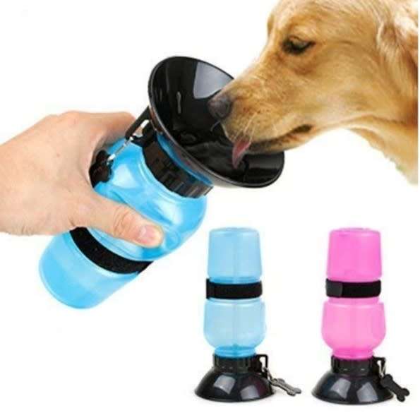 Aqua Dog Water Bottle