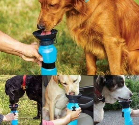 Aqua Dog Water Bottle