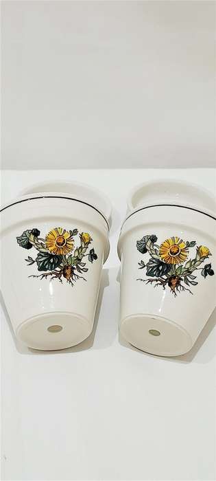 Vintage Villeroy & Boch `Botanica` planters