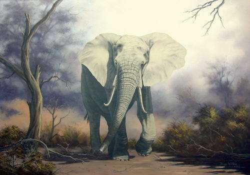 DANE WILLERS Limited edition Giclee print: Savuti Elephant.