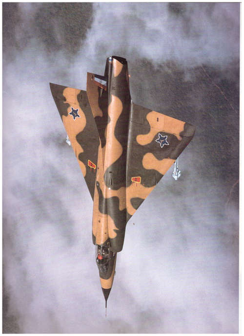 THE SOUTH AFRICAN AIR FORCE