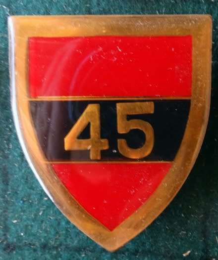 SADF 45 Survey Squadron  Flash. Pins Intact (77)