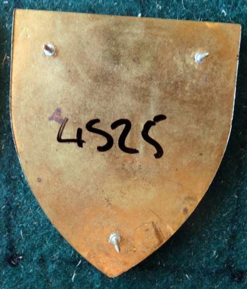 SADF 47 Survey Squadron  Flash. Pins Intact (78)