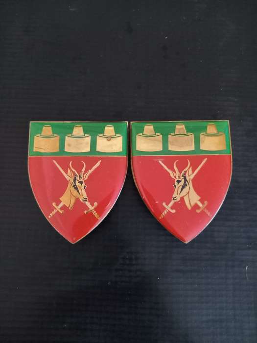 2 SADF Witwatersrand Command Shoulder Flash pins intact