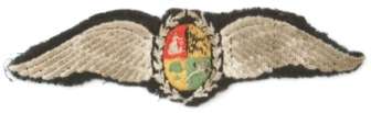 Embroidered Pilot's Wing