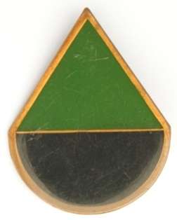 SA Infantry D Company Arm Flash
