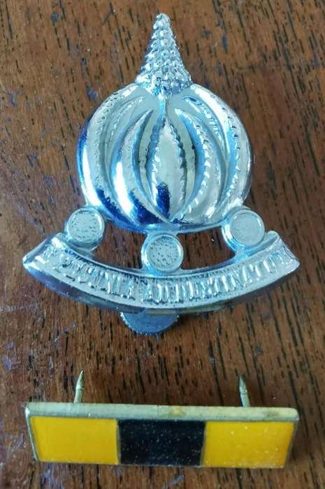 SADF Finance Services Corps cap badge and beret bar / balkie