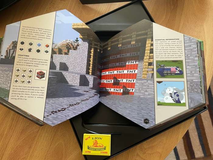 Minecraft Blocktopia Book