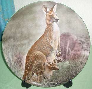 **wOw** Royal doulton Large plate monther and child kangaroo. Valuable