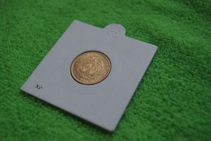 1895 ZAR Half Pond - Gold