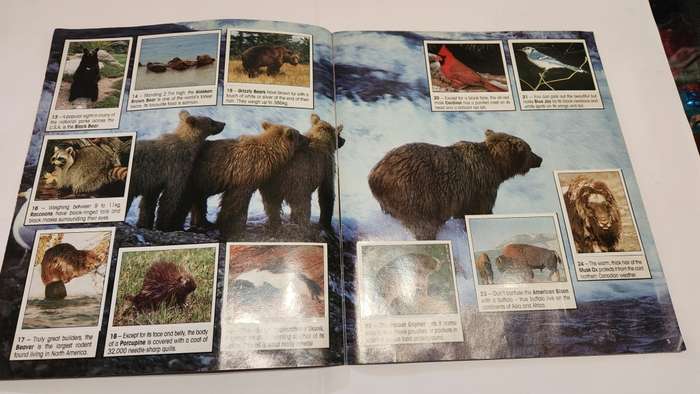 1990 Complete Animals Of The World Panini Sticker Album Vintage Figure