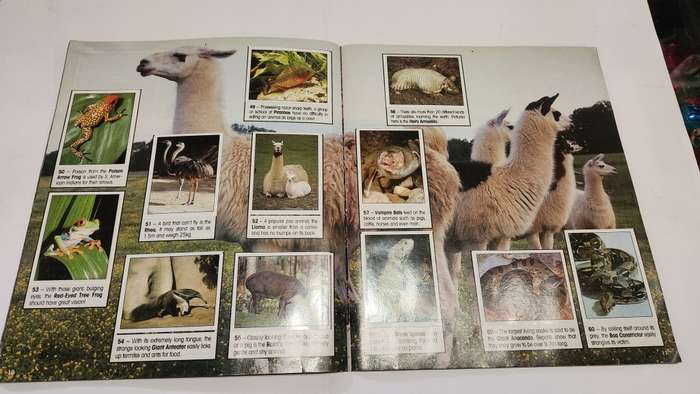 1990 Complete Animals Of The World Panini Sticker Album Vintage Figure