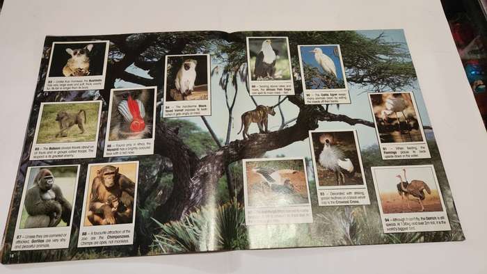 1990 Complete Animals Of The World Panini Sticker Album Vintage Figure