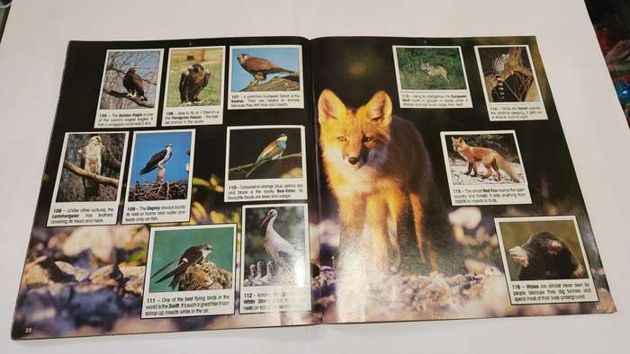 1990 Complete Animals Of The World Panini Sticker Album Vintage Figure
