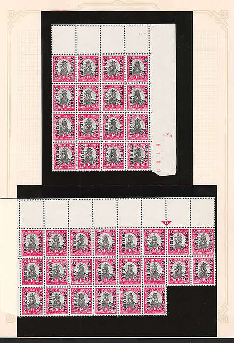 SOUTH AFRICA 1947 UNSCREENED/SCREENED PICTORIALS 1d SELECTION OF BLOCKS ON 4 PAGES VERY FINE MNH