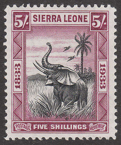 SIERRA LEONE 1933 WILBERFORCE ISSUE 5s ELEPHANT VERY FINE MNH. SG 27 £160 A MOST ATTRACTIVE STAMP
