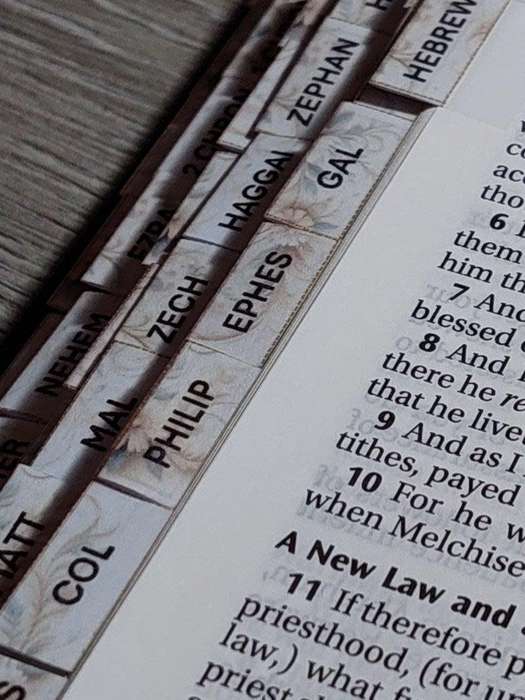 KJV Holy Bible, genuine leather, book tabs, maps, verse finder, reading plan