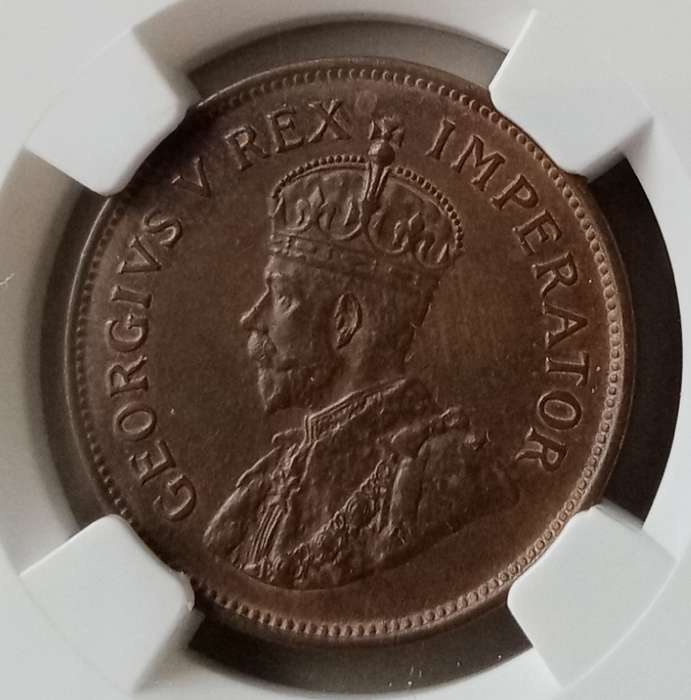 1929 Union 1/2 penny NGC AU58 BN (high grade)
