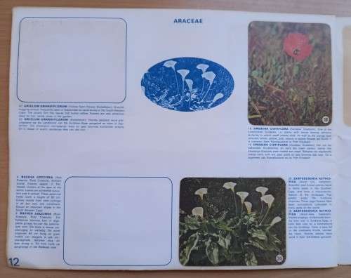 Vintage Bokomo sticker album: SA Wild Flowers - 8 stickers missing