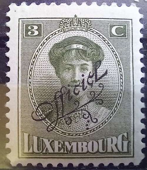 Luxembourg 1895 to 1928 lot of 7 MH and 1 used official stamps