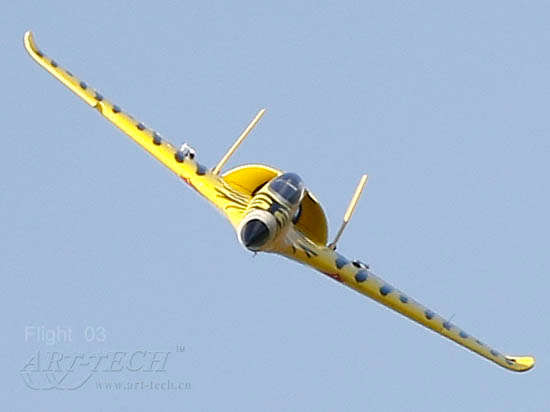 jet tiger
