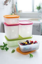 Tupperware Freezer Mates Set (5 items)2 x 450ml, 2 x 1.1L high & 1 x 1L low