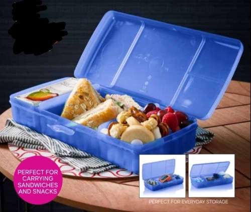 Tupperware keep it large lunch box