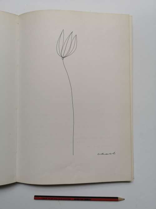 Hello Up There A Philosophy Mind Drawings By Thelma Chait - South African Artist
