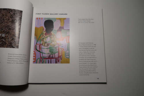 CAPE TOWN ART FAIR, 2016 catalogue 120pp., colour illus., paperback, Cape Town,