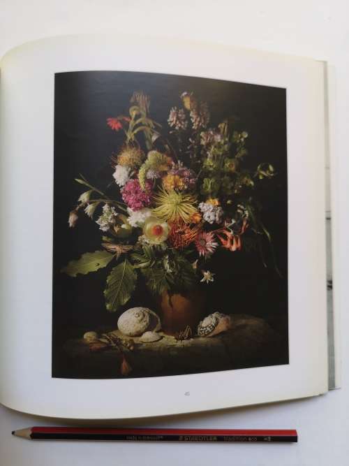 Stevenson Gallery Summer 2008/9: Projects Catalogue 39, 2008