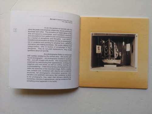 Lien Botha: Boxing Days