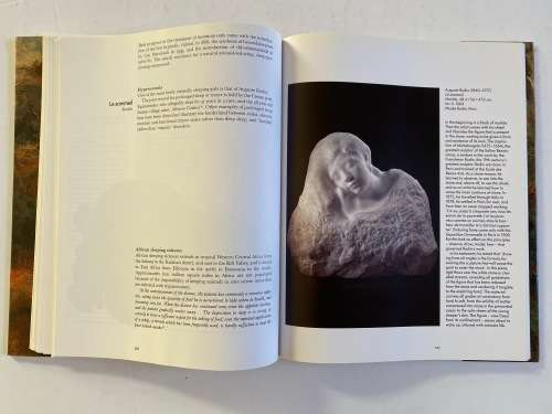 Sleep in Art Hardcover by Regine Potzsch (Author)