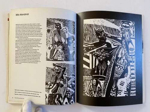 Art of the South African Townships - Gavin Younge